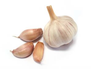 garlic bulb