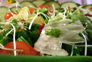 voluntary calorie restriction