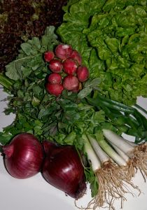 blood type a vegetable eaters